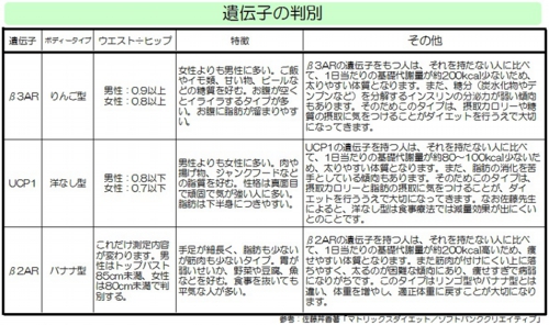 【マトリックス(遺伝子型)ダイエット】遺伝子の判別.jpg