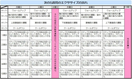 【ファイブファクターダイエット】次の５週間のエクササイズの流れ.jpg