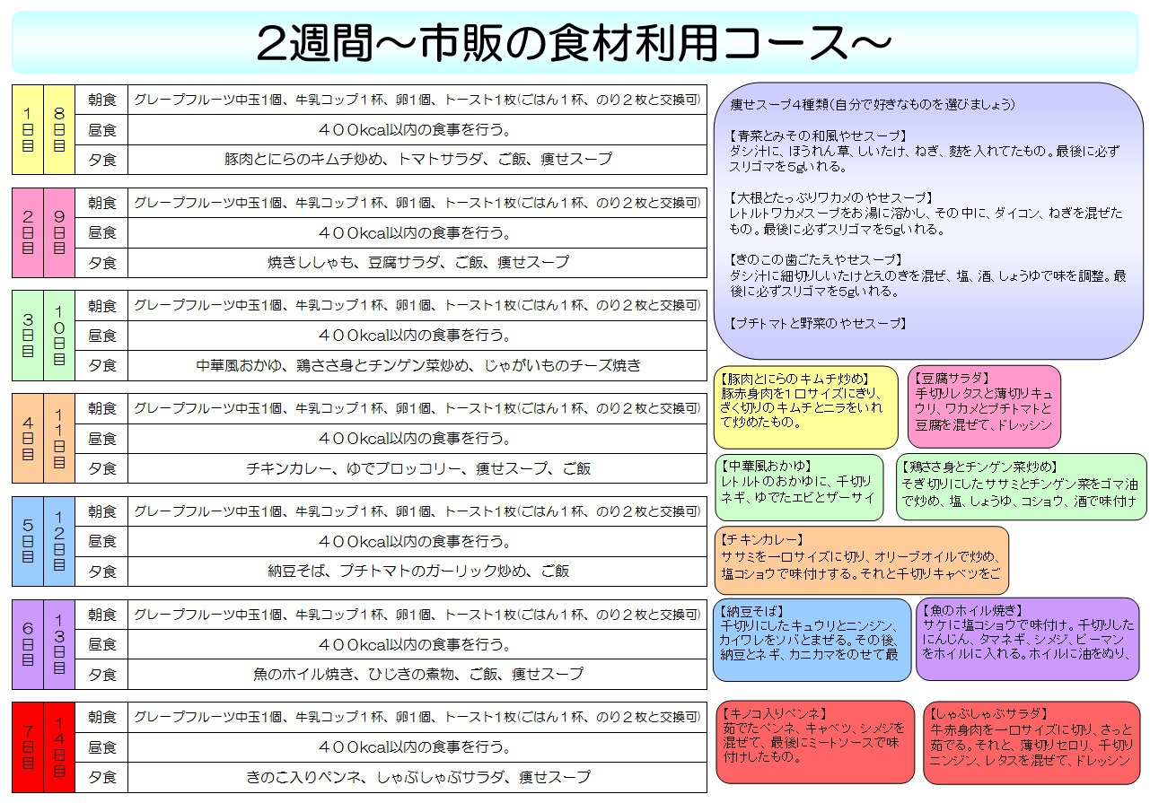 Mina版国立病院ダイエット ダイエットガイド河口哲也 １