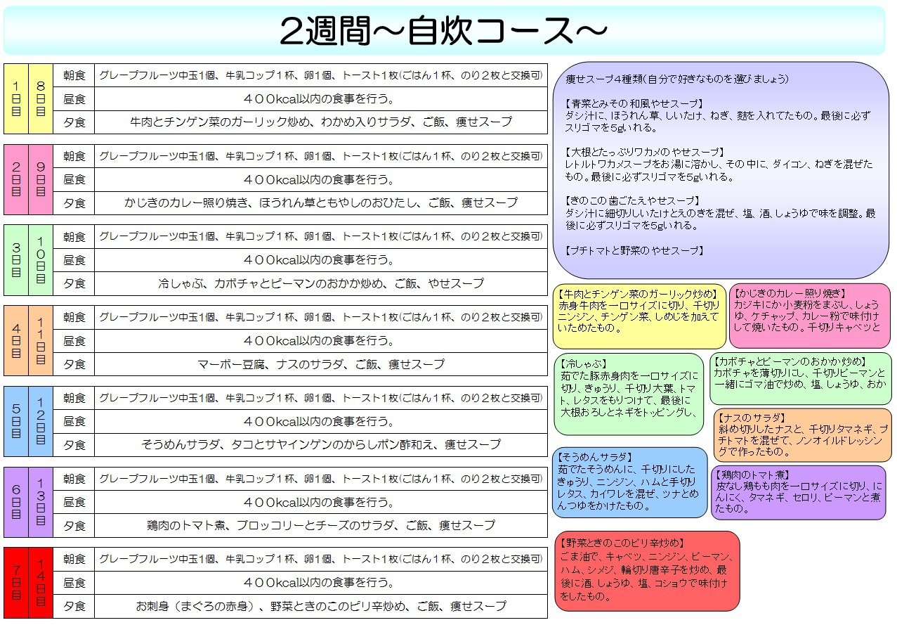 Mina版国立病院ダイエット ダイエットガイド河口哲也 １