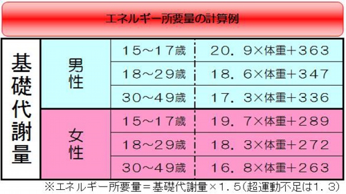 2011年01月03日の記事用写真.jpg